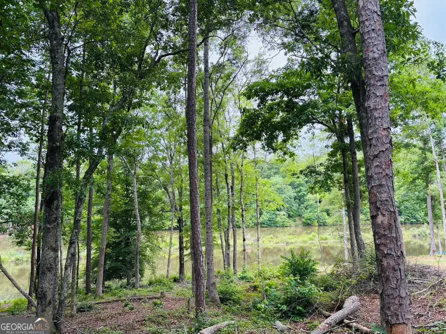 LOT 8 County Road 499, Woodland, AL 36280 - #3