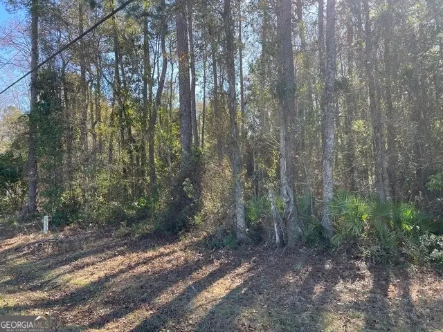 LOT 4 W King Avenue, Kingsland, GA 31548 - #3