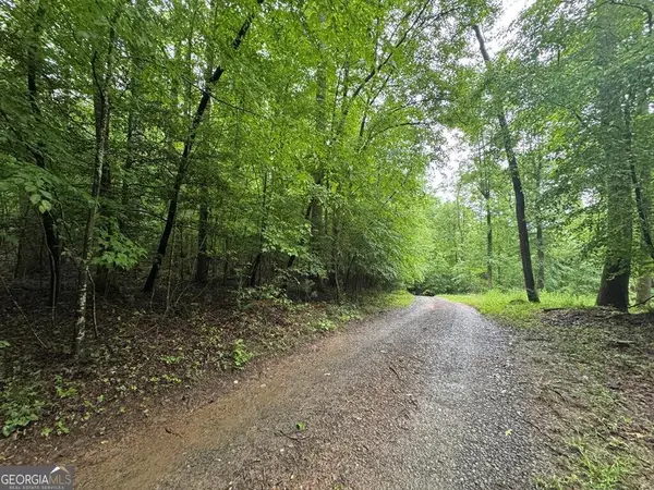 1.23 AC Bear Run Circle #101,117-9, Ellijay, GA 30540