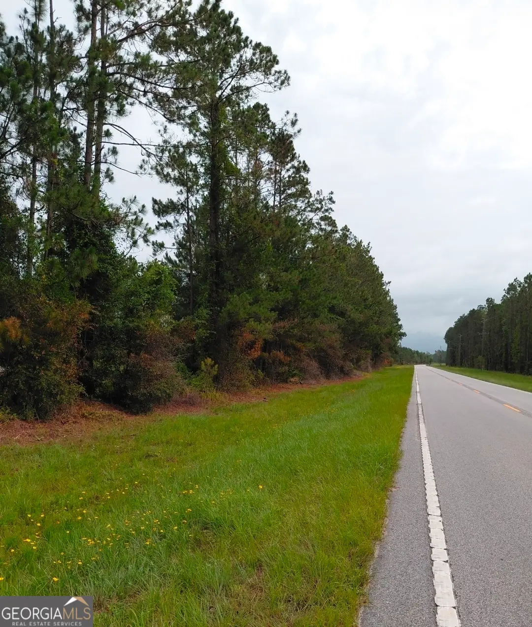 56 Forest Lake Drive, Folkston, GA 31537 - #1