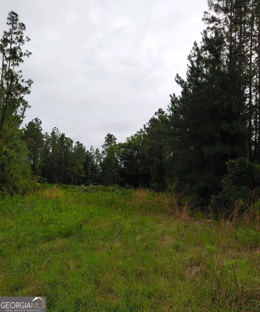 56 Forest Lake Drive, Folkston, GA 31537 - #3