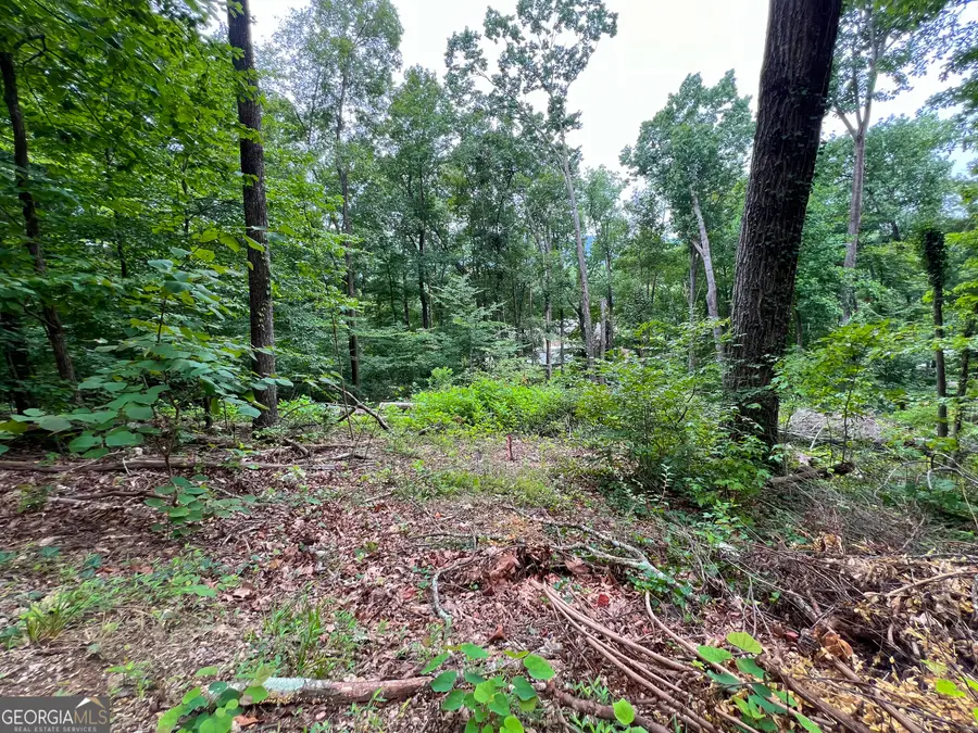 00 Shannon Drive, Dalton, GA 30720 - #2