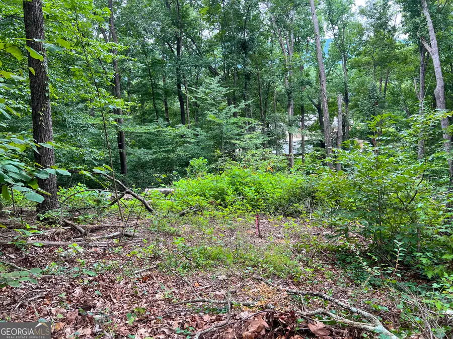 00 Shannon Drive, Dalton, GA 30720 - #3