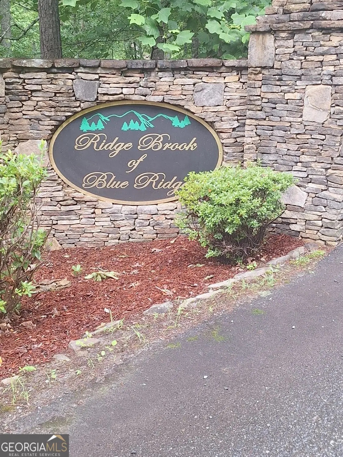 LOT 22 Meadow Brook Trail, Morganton, GA 30560 - #1