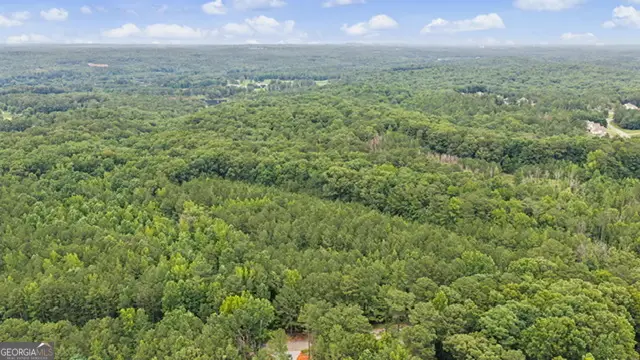 0 Cedar Grove Road, Chattahoochee Hills, GA 30268 - #3