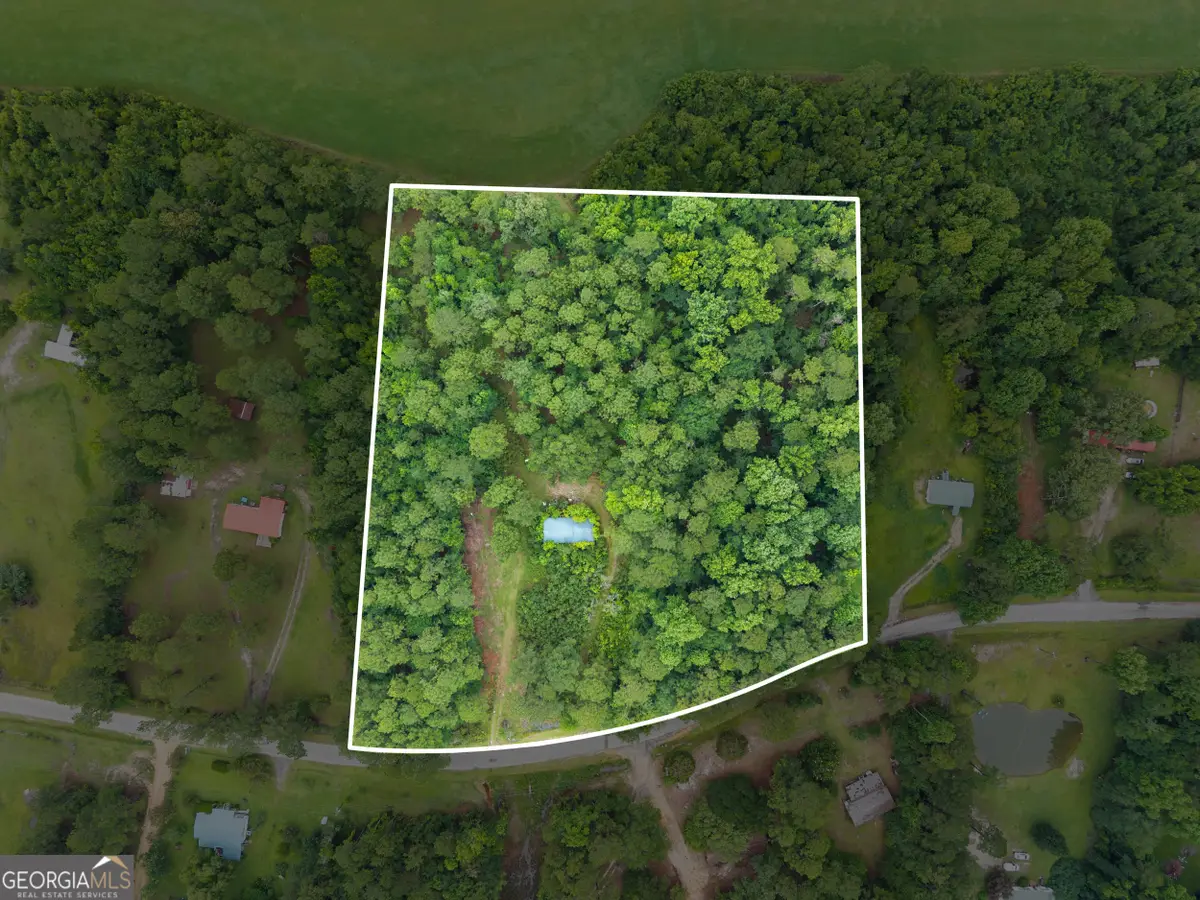 243 Buck Road, Sylvania, GA 30467 - #1