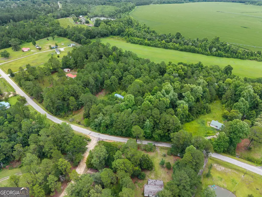 243 Buck Road, Sylvania, GA 30467 - #3