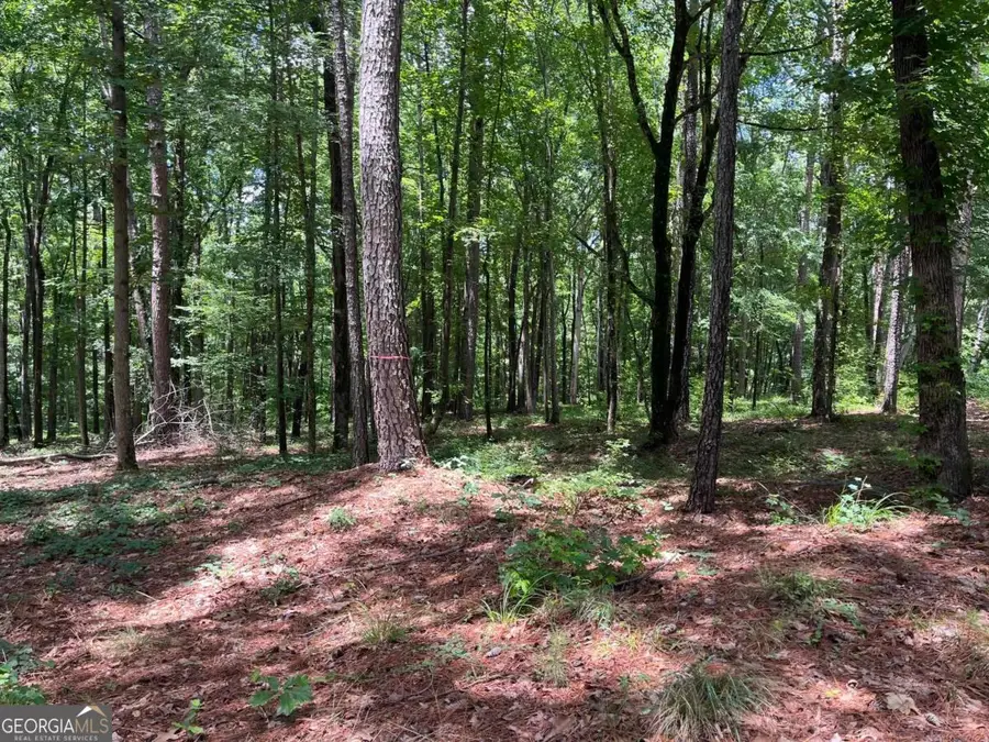 1577 Pullman Lane, Greensboro, GA 30642 - #3