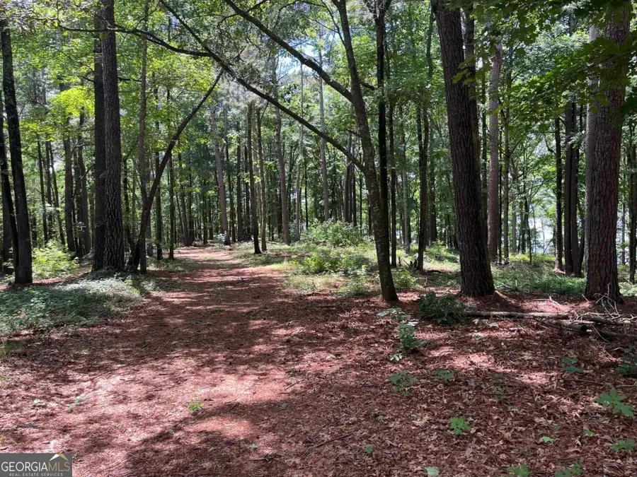 1595 Pullman Lane, Greensboro, GA 30642 - #3