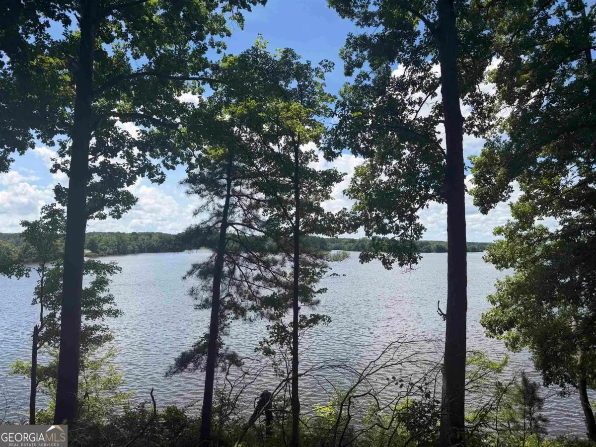 LOTS 1 & 2 Pullman Lane, Greensboro, GA 30642 - #1