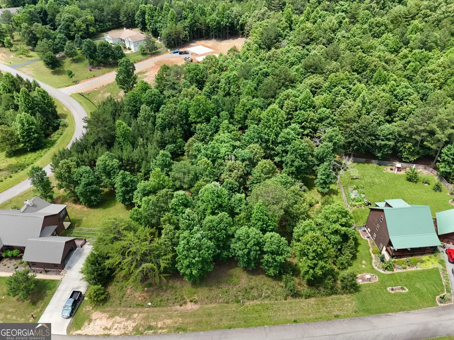 0 Village Loop, Blairsville, GA 30512 - #2