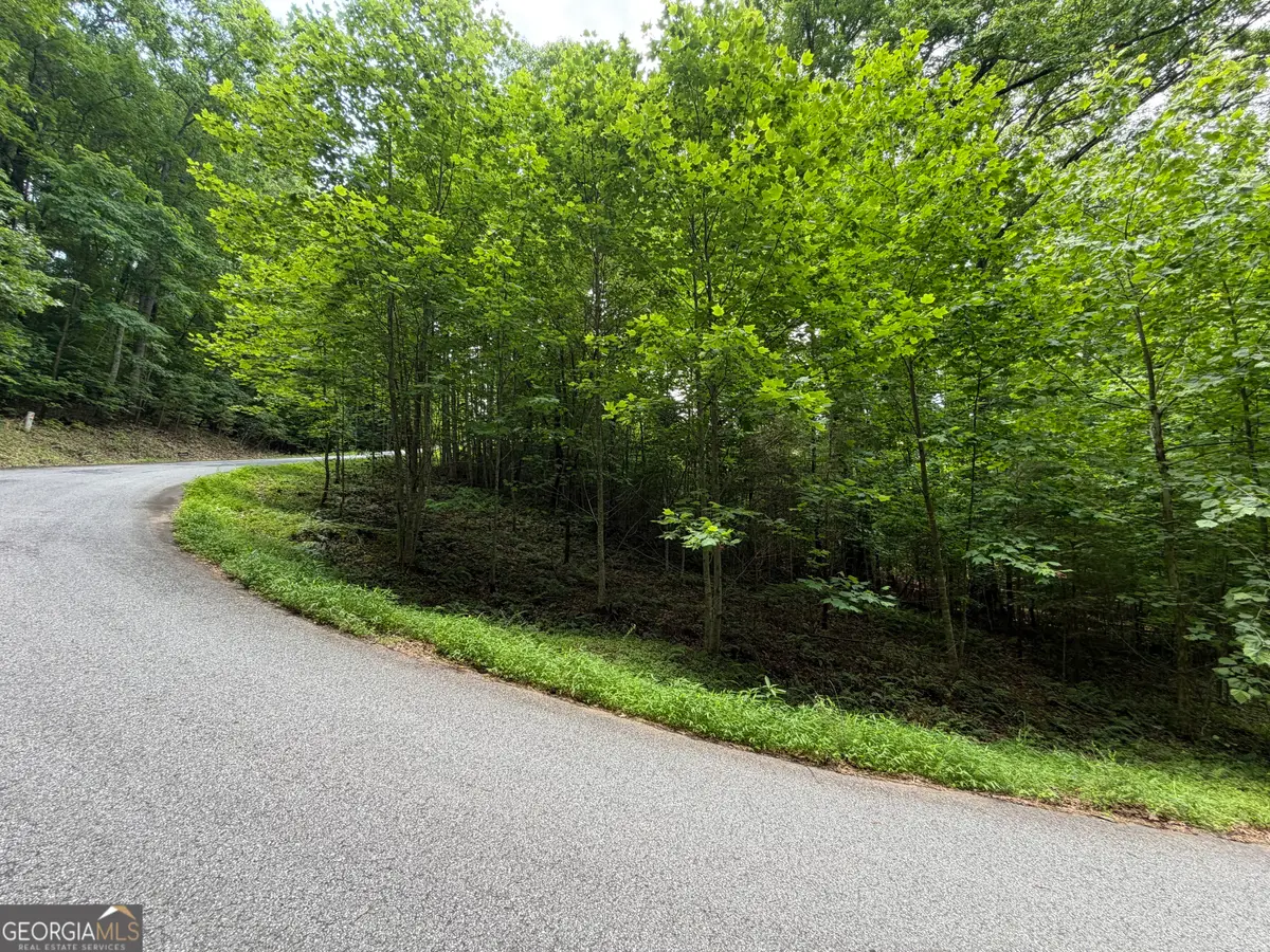 LOT 19 Mill Ridge Road, Hiawassee, GA 30546 - #1