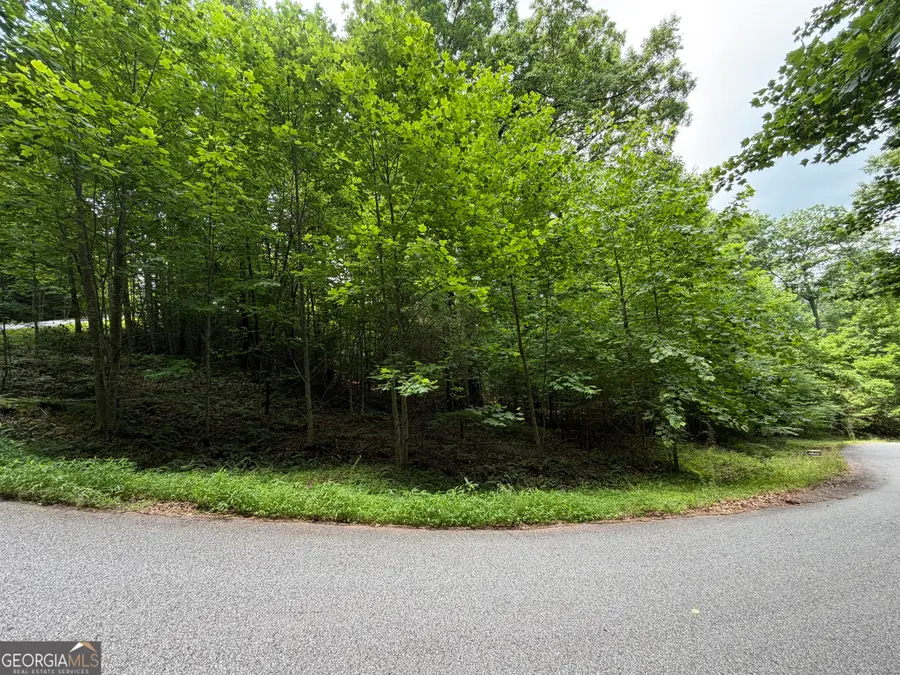 LOT 19 Mill Ridge Road, Hiawassee, GA 30546 - #2