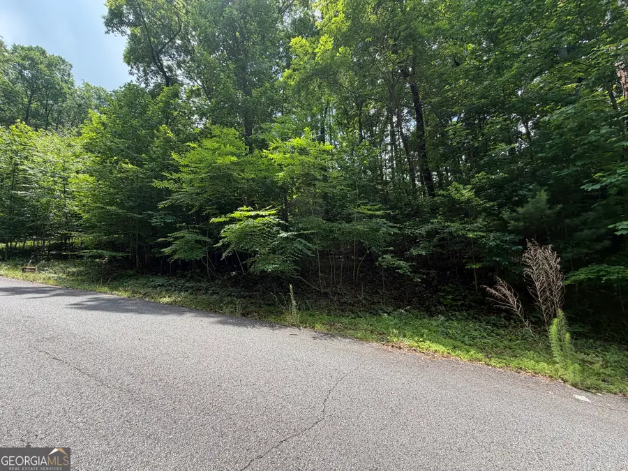 LOT 19 Mill Ridge Road, Hiawassee, GA 30546 - #3
