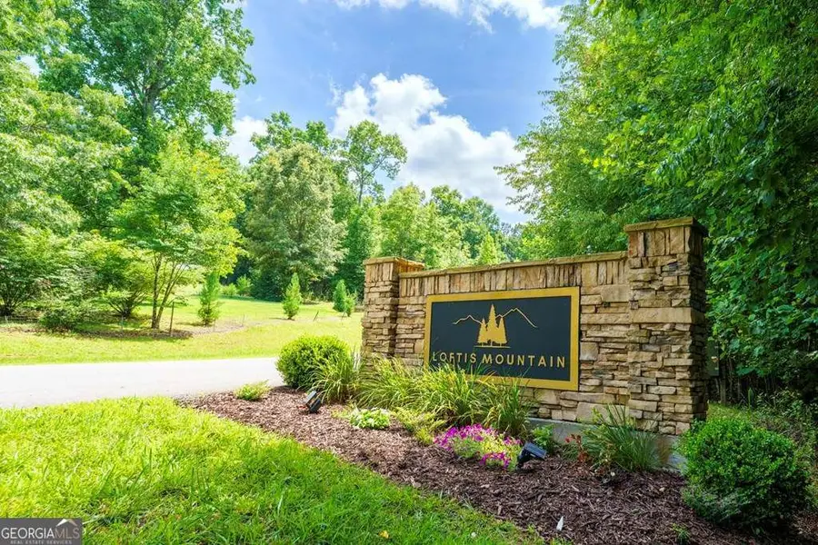 LOT 20 Loftis Mountain, Blairsville, GA 30512 - #3