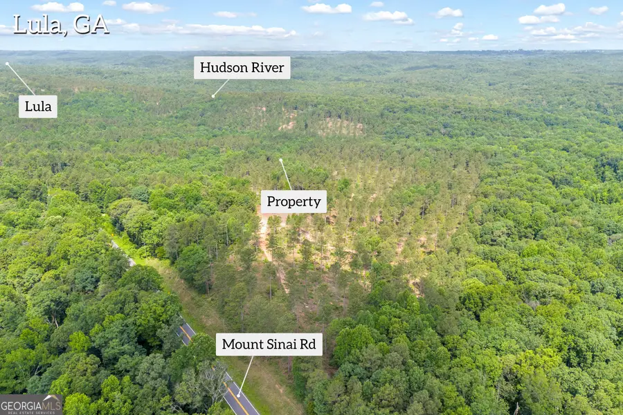 0 Mt. Sinai Road #LOT 1, Lula, GA 30554 - #3