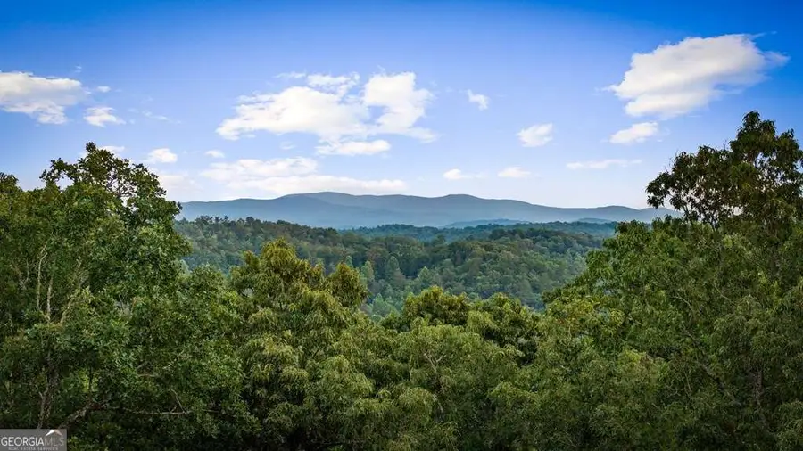 241 Wolf Creek Mountain Road, Mineral Bluff, GA 30559 - #2