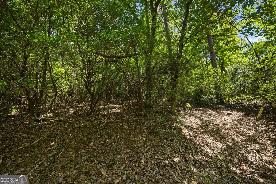 196 Cinnamon Fern Lane, Jasper, GA 30143 - #3