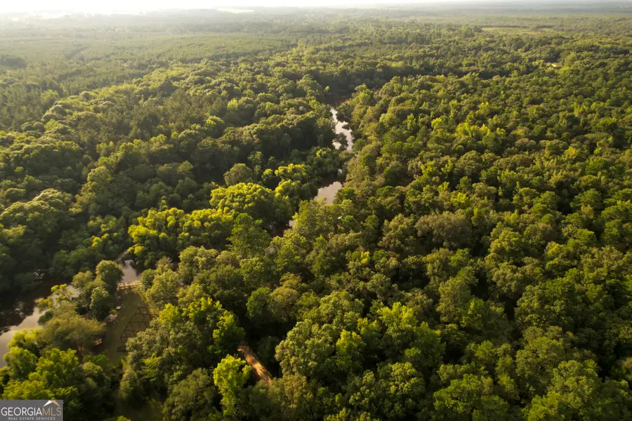 0 River Ridge Road, Reidsville, GA 30453 - #3