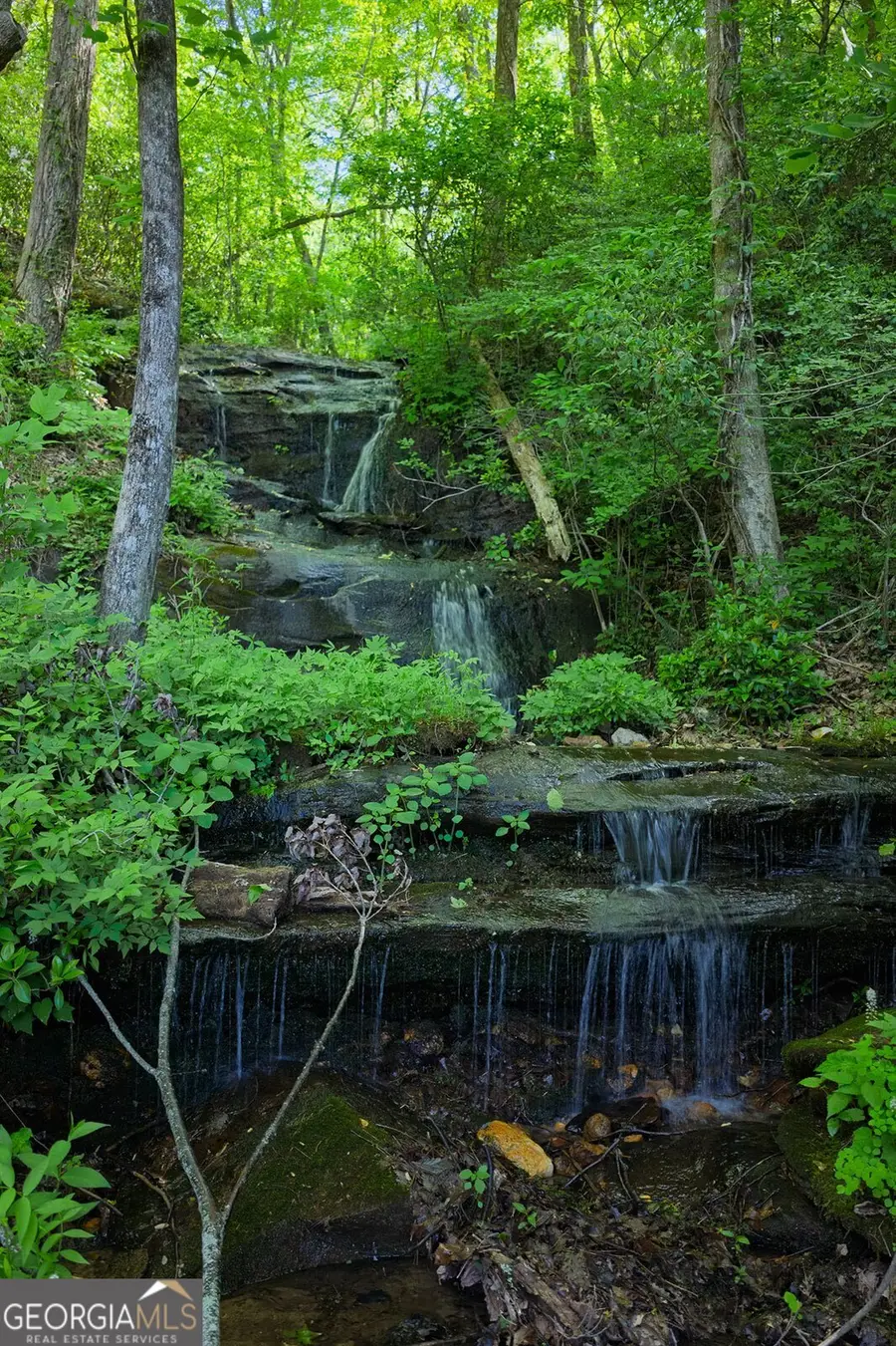 1049 Rockwater Road, Ellijay, GA 30536 - #2