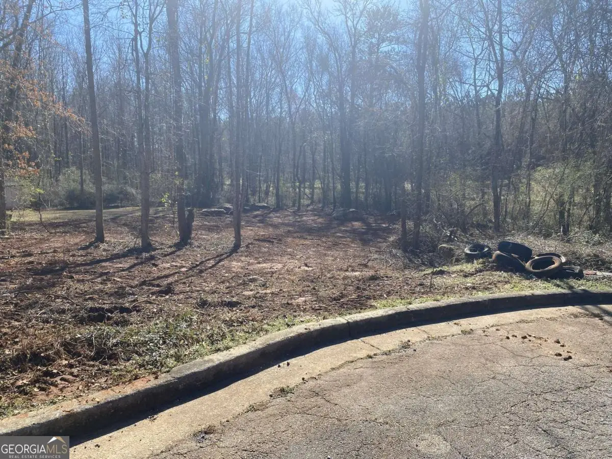 0 Hannah Court #LOT 13, Barnesville, GA 30204 - #1