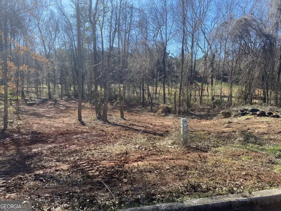 0 Hannah Court #LOT 13, Barnesville, GA 30204 - #2