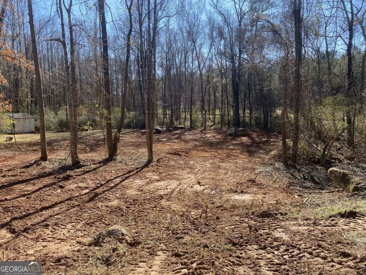 0 Hannah Court #LOT 14, Barnesville, GA 30204 - #1
