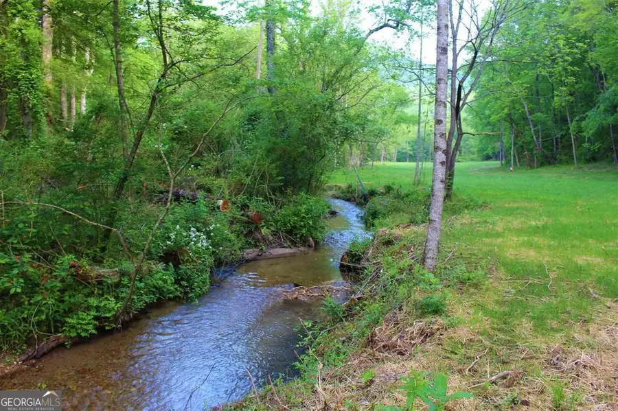 0 Highway 246, Dillard, GA 30537 - #2