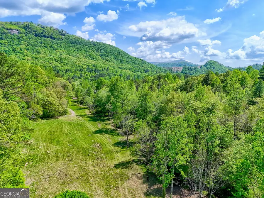 0 Highway 246, Dillard, GA 30537 - #3