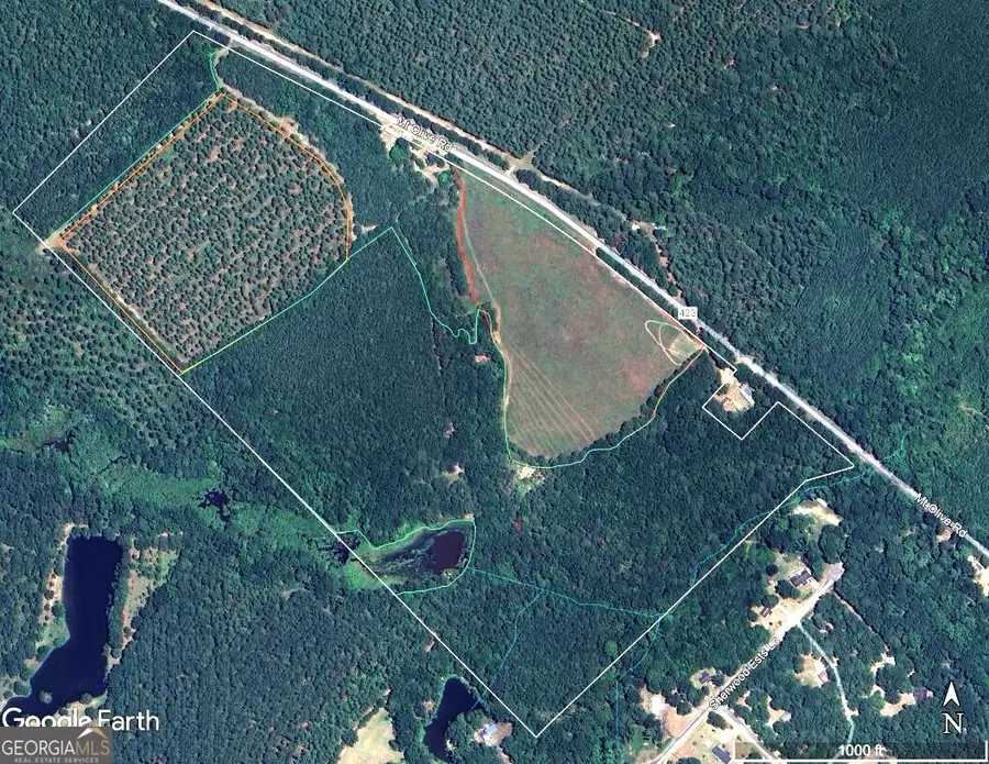1400 Mount Olive Road, Dublin, GA 31021 - #3