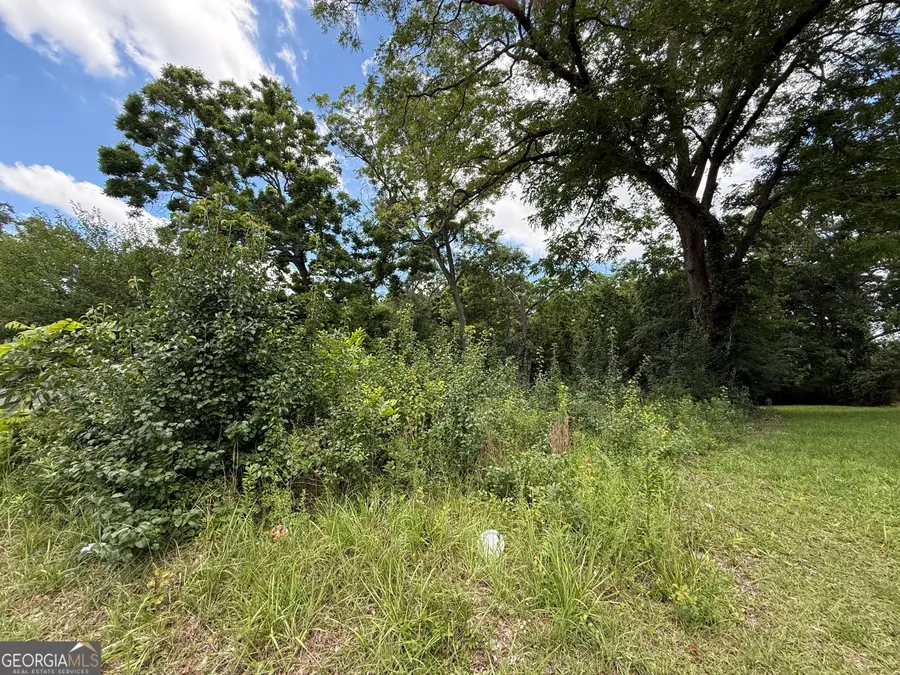 0 Mill Street, Barnesville, GA 30204 - #3