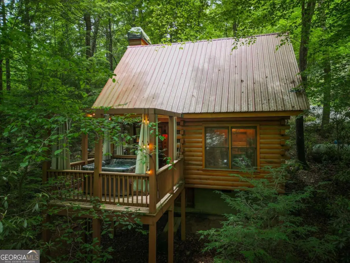 14 Finch Lane, Cherry Log, GA 30522 - #1