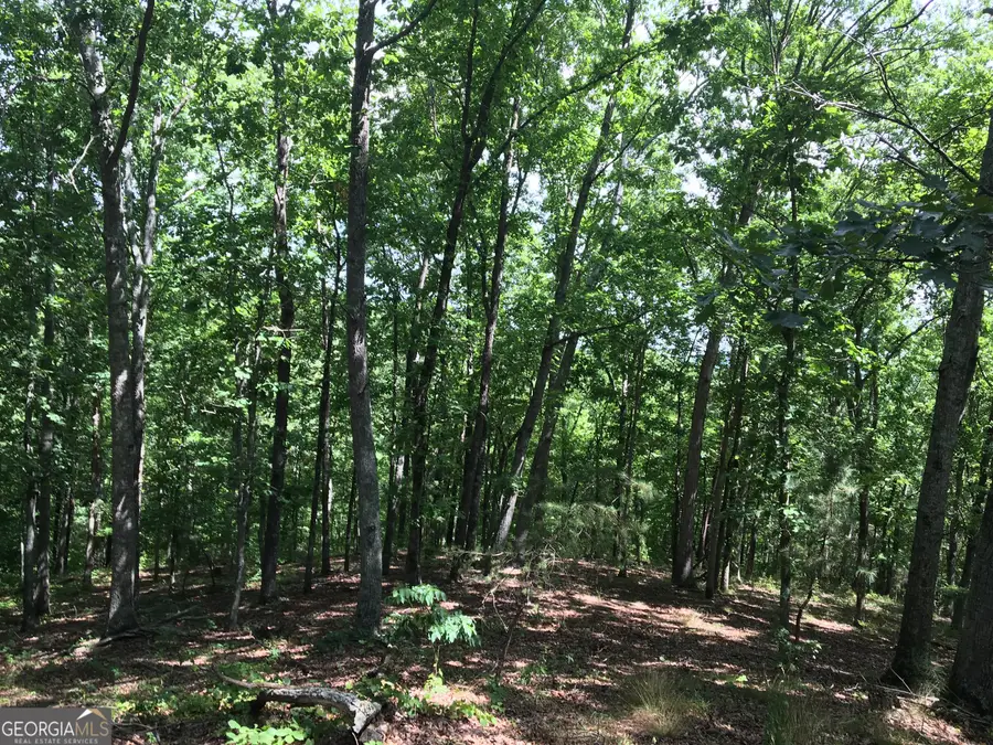 0 Damascus Road, Ball Ground, GA 30107 - #3