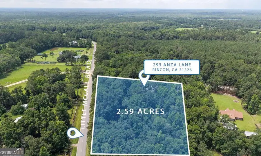 293 Anza Lane, Rincon, GA 31326 - #3
