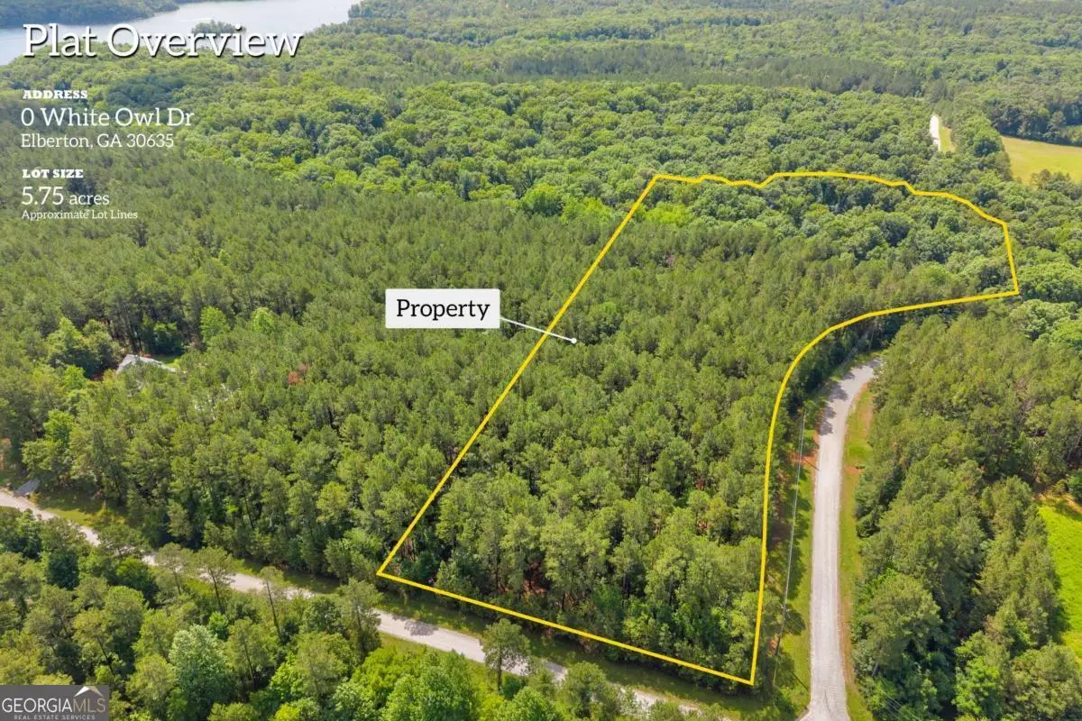 0 White Owl Drive, Elberton, GA 30635 - #1