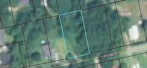 145 Plum Street, Haddock, GA 31033