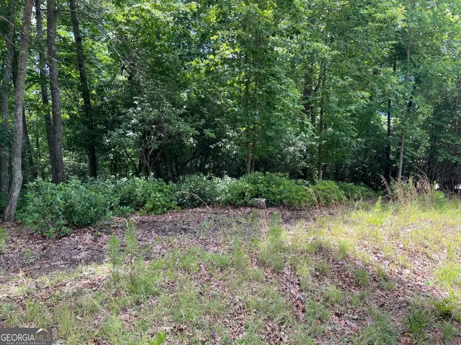 LOT 57 Asheland Overlook #57, Young Harris, GA 30582 - #3