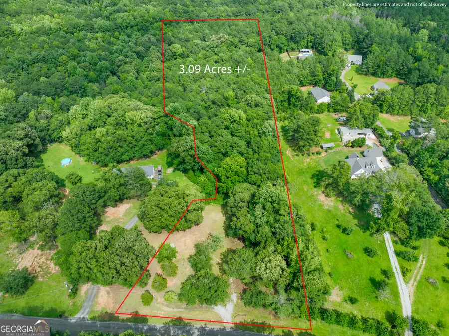 884 Dolly Nixon Road, Senoia, GA 30276 - #3
