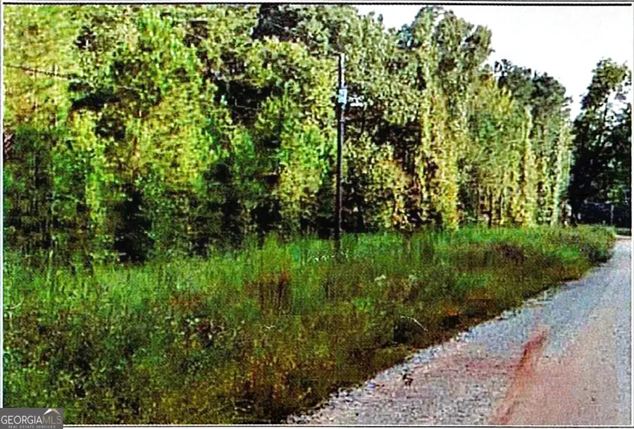0 Felton Mcmichael Rd & Hayes - Landlot 090 Road, Monticello, GA 31064 - #3