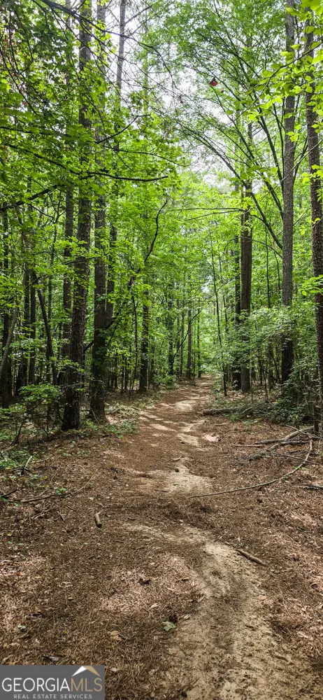 NORTH OF 428 Padgett Rd, Senoia, GA 30276