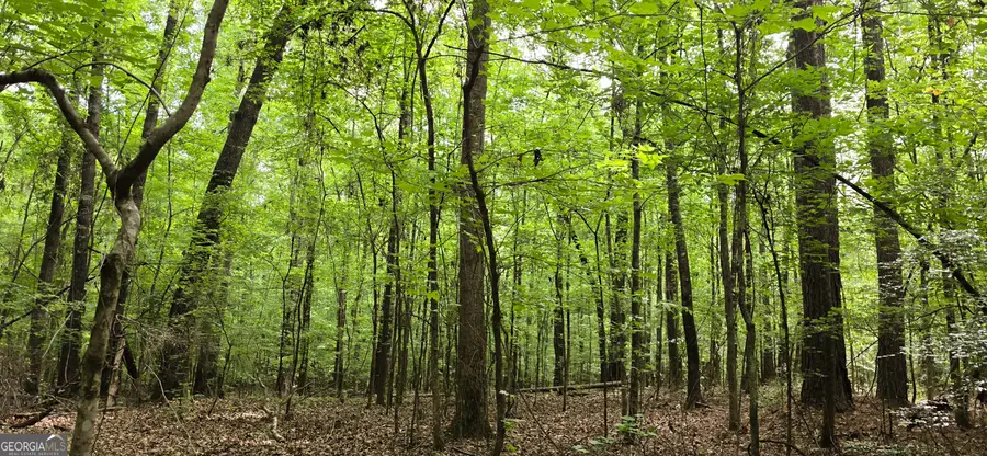NORTH OF 428 Padgett Rd, Senoia, GA 30276 - #3