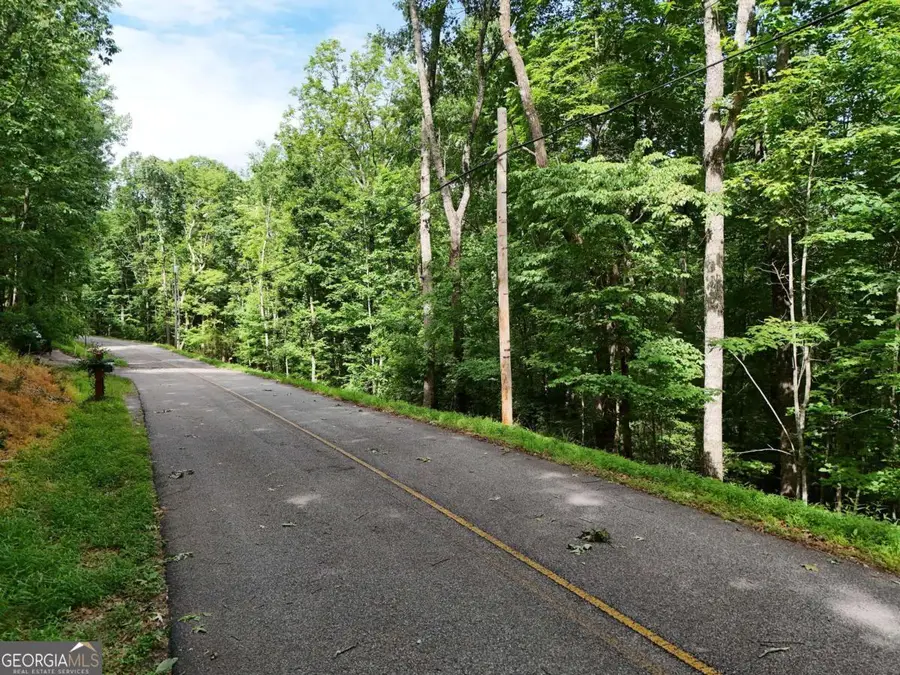 LOT 131 Laurel Crossing, Blue Ridge, GA 30513 - #2