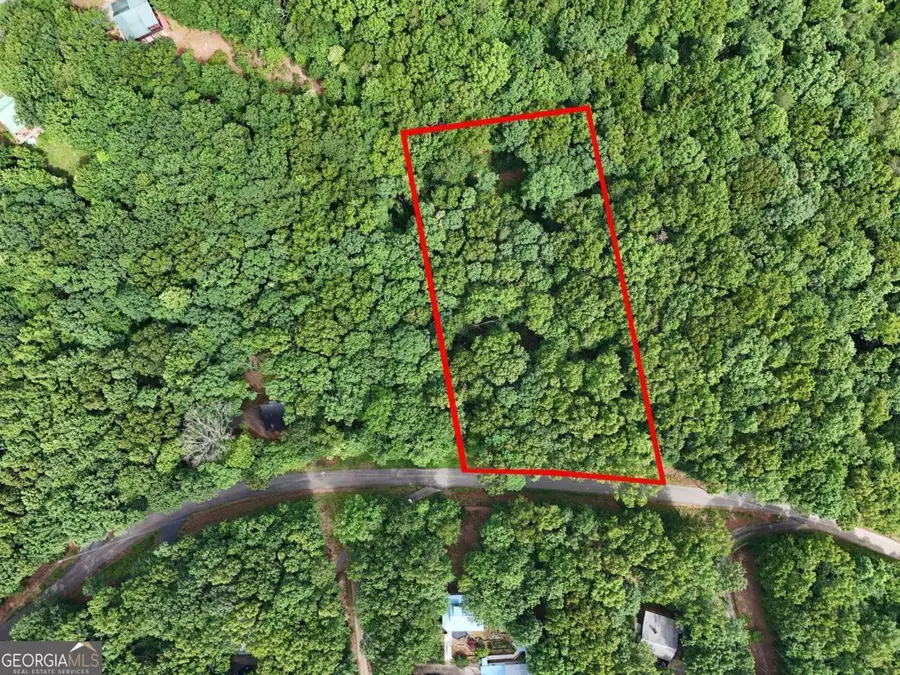 LOT 131 Laurel Crossing, Blue Ridge, GA 30513 - #3