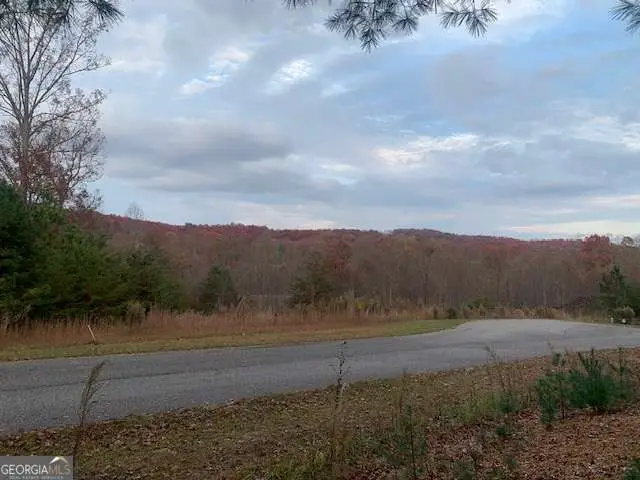 LOT 4 Courtney Lane, Blairsville, GA 30512 - #1