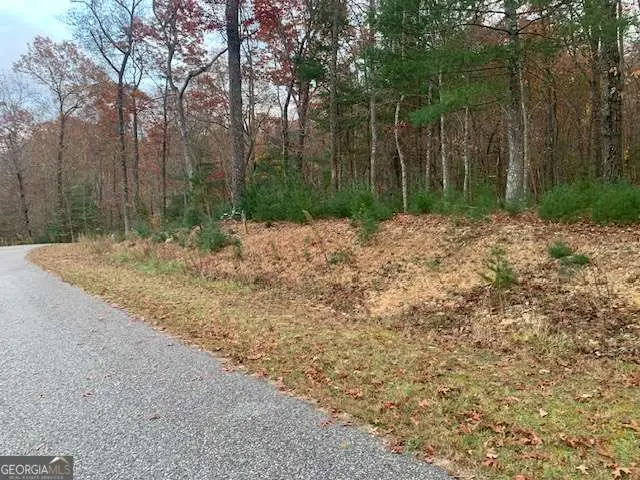 LOT 4 Courtney Lane, Blairsville, GA 30512 - #3