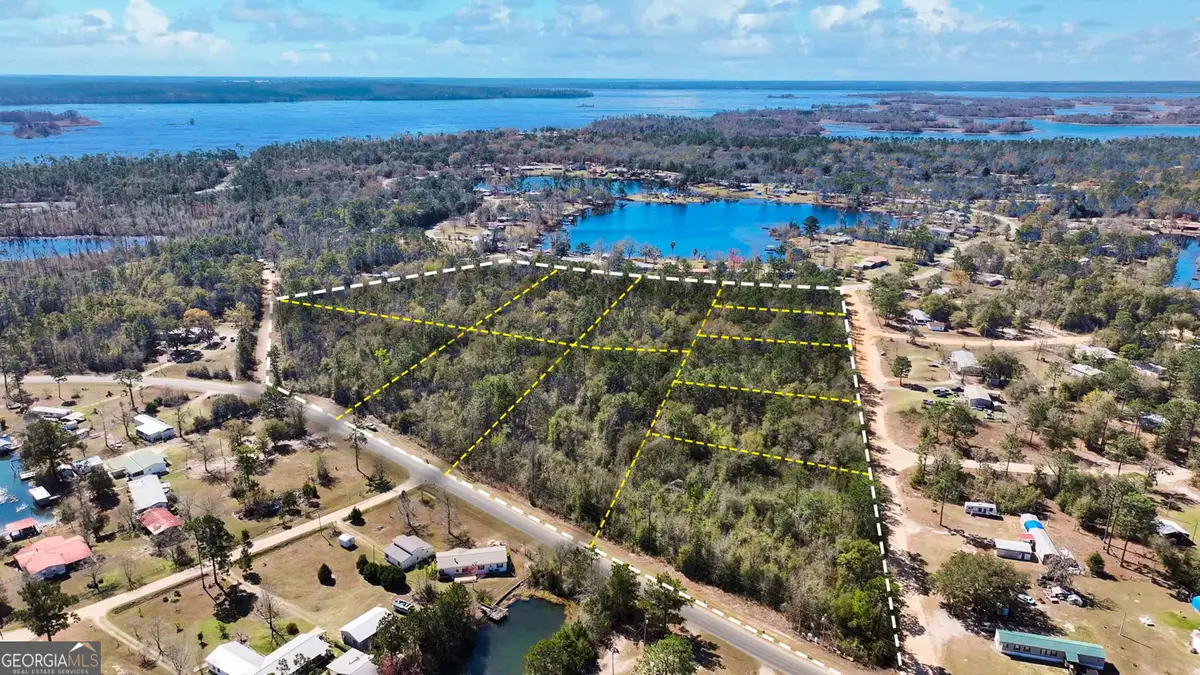 8249 Lake Carroll Drive, Donalsonville, GA 39845 - #1