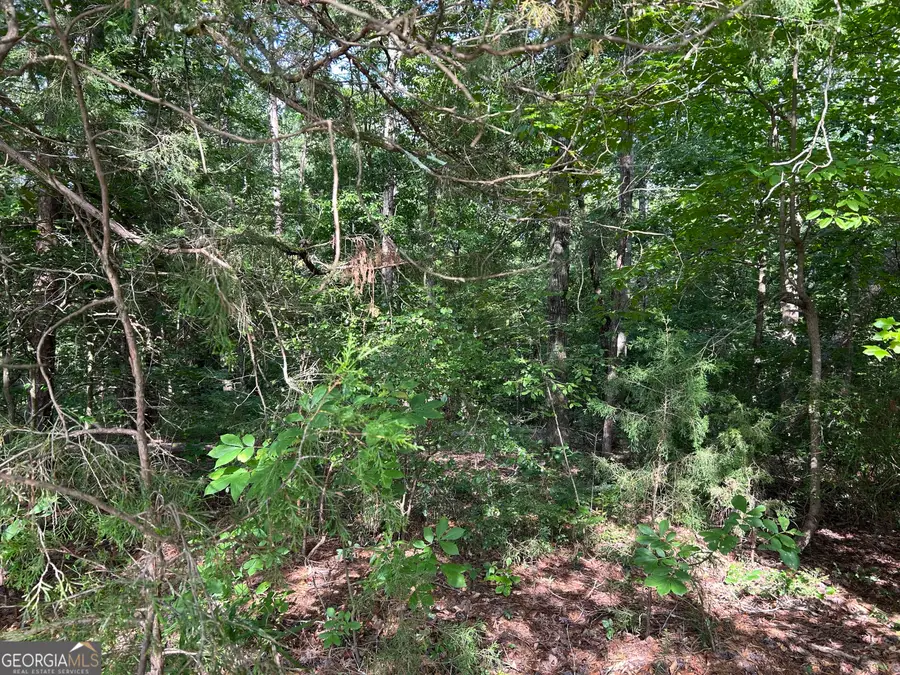 0 County Road 329, Wedowee, AL 36278 - #2