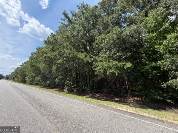 0 Willow Creek Lane, McRae-Helena, GA 31055