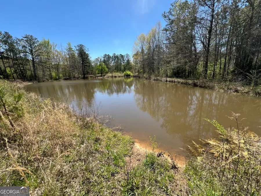 1073 Blount Road, Jackson, GA 30233 - #3