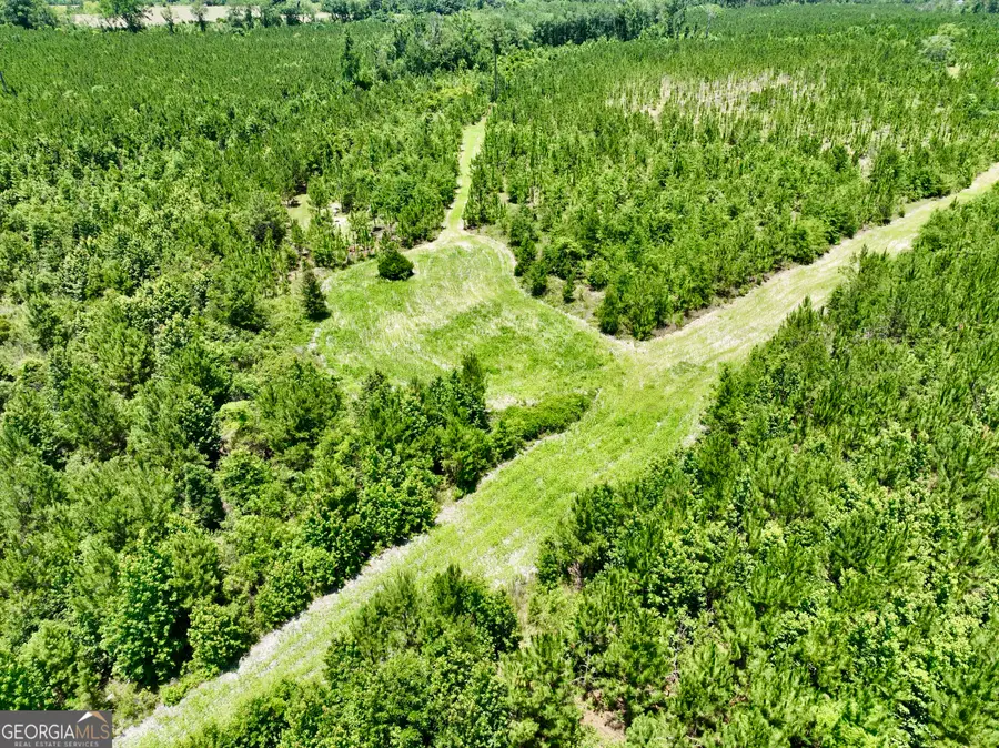 0 W. River Road, Rhine, GA 31077 - #2